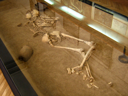 Скелет — поховання скіфського часу. Фото