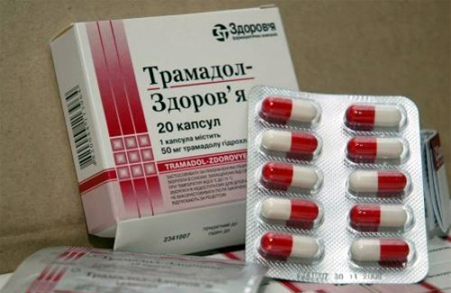 aspirin and tramadol for dogs